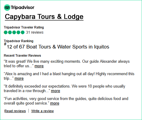 TripAdvisor